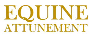 Equine Attunement - Unlocking Emotional Freedom for You & Your Horse