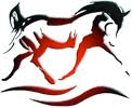 Tom Mayes Intergrated Equine Therapies