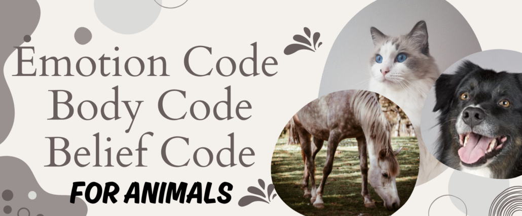 Equine Attunement is a holistic horse treatment that uses applied kinesiology techniques to identify and address underlying health, behavioral, and physical issues in horses