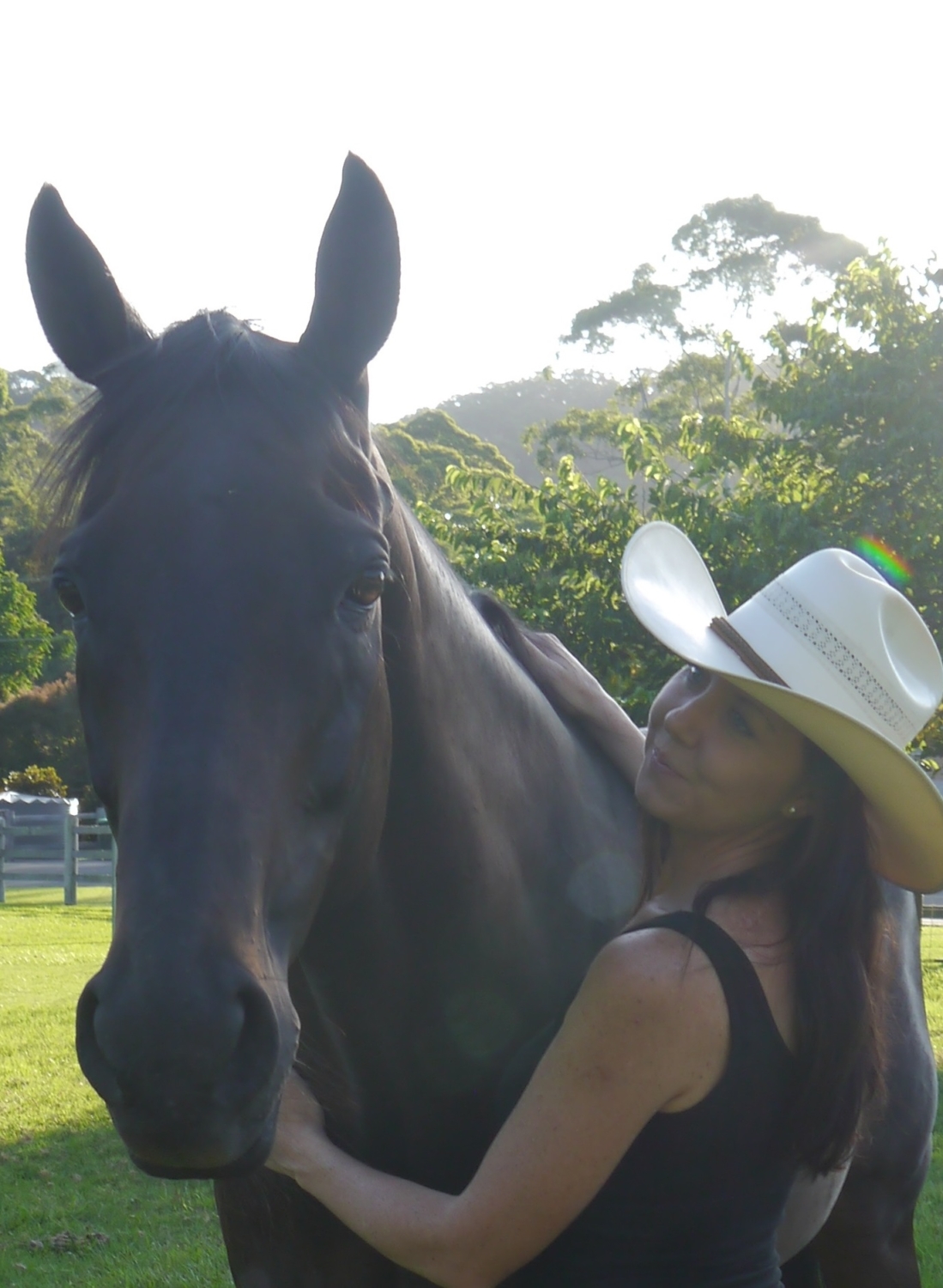 Equine Attunement is a holistic horse treatment that uses applied kinesiology techniques to identify and address underlying health, behavioral, and physical issues in horses