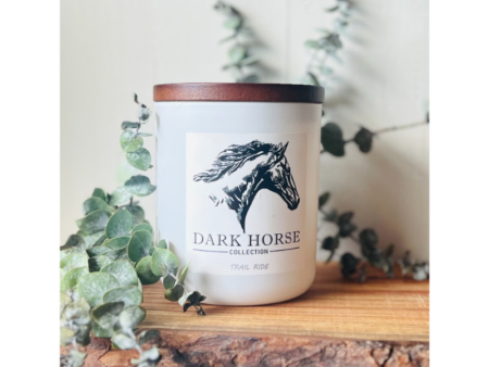Light up your space with our equestrian-scented candles! Enjoy fresh hay, soft leather, and sweet wildflower scents.