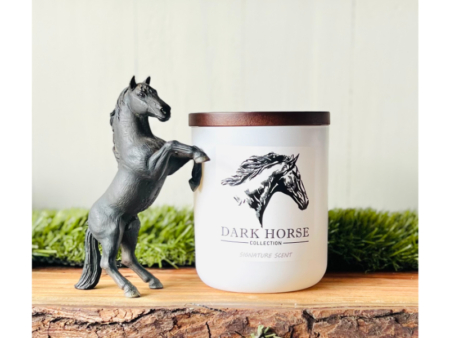 Light up your space with our equestrian-scented candles! Enjoy fresh hay, soft leather, and sweet wildflower scents.