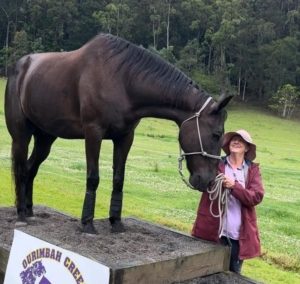 Equine Attunement is a holistic horse treatment that uses applied kinesiology techniques to identify and address underlying health, behavioral, and physical issues in horses.