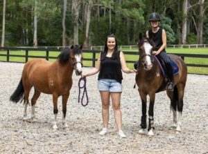 Equine Attunement is a holistic horse treatment that uses applied kinesiology techniques to identify and address underlying health, behavioral, and physical issues in horses.