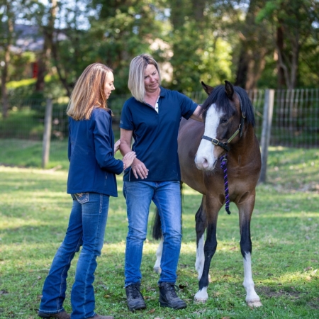 Equine Attunement is a holistic horse treatment that uses applied kinesiology techniques to identify and address underlying health, behavioral, and physical issues in horses.