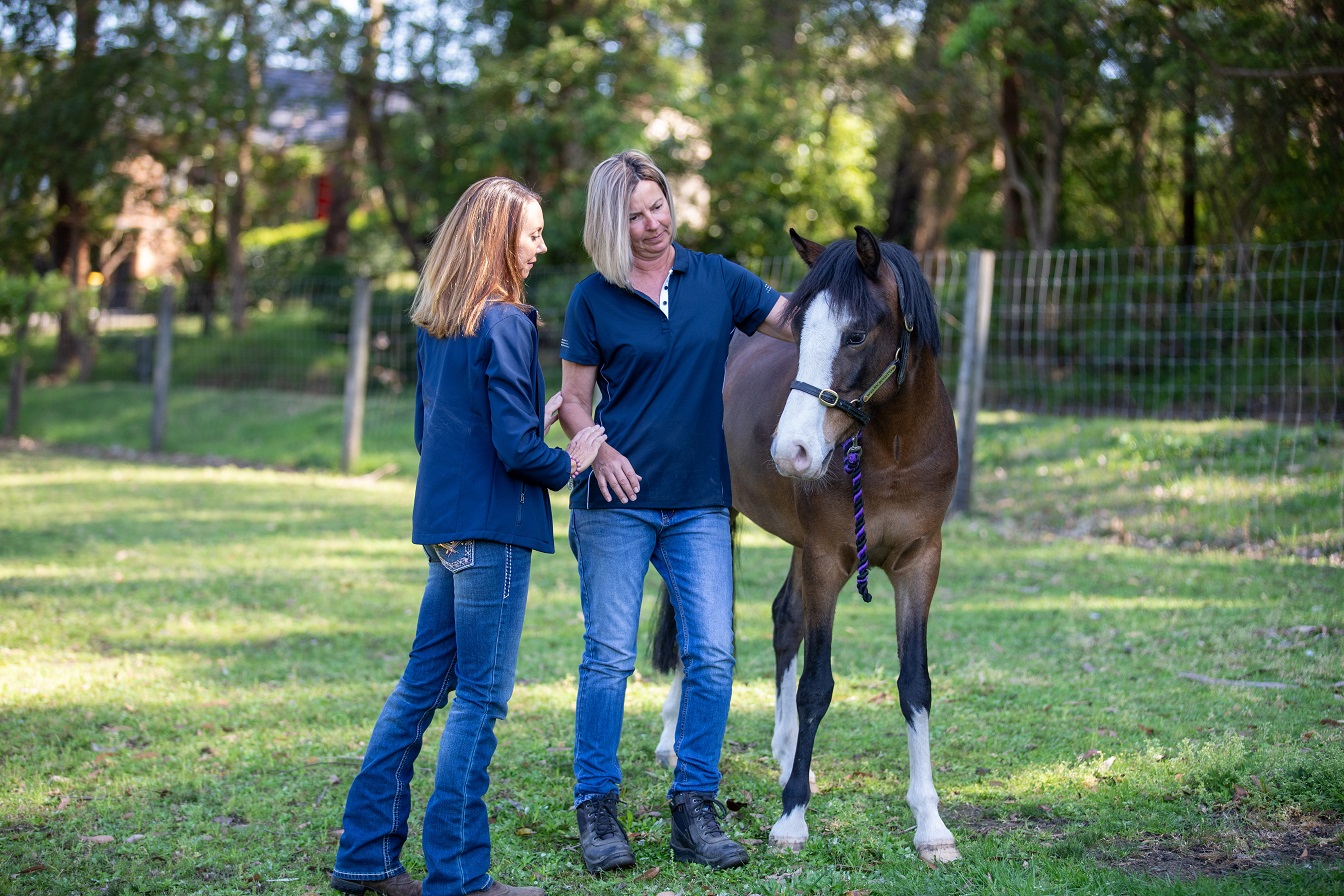 Equine Attunement is a holistic horse treatment that uses applied kinesiology techniques to identify and address underlying health, behavioral, and physical issues in horses.