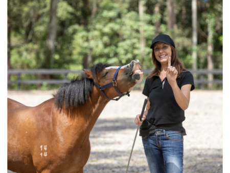 Building trust and connection with your equine partner requires awareness of not only your horse but also awareness of yourself.