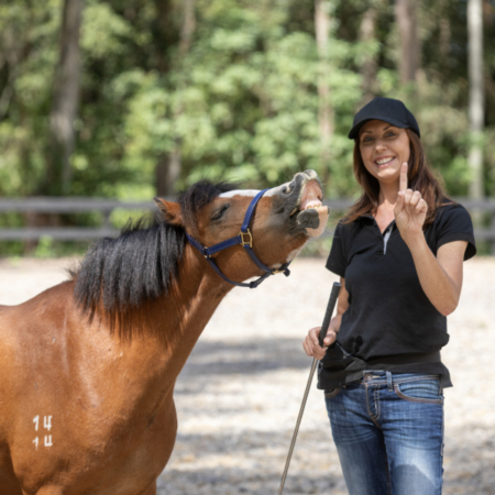 Building trust and connection with your equine partner requires awareness of not only your horse but also awareness of yourself.