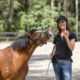 Building trust and connection with your equine partner requires awareness of not only your horse but also awareness of yourself.